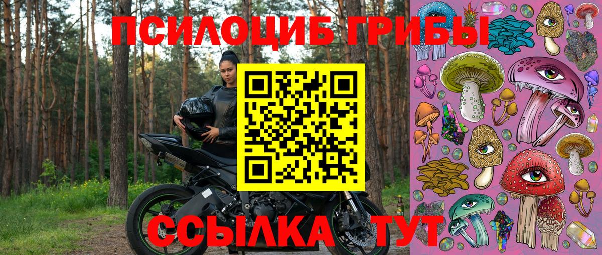 Берёзовский  Галлюциногенные грибы Psilocybine cubensis  даркнет сайт  Вход с VPN 