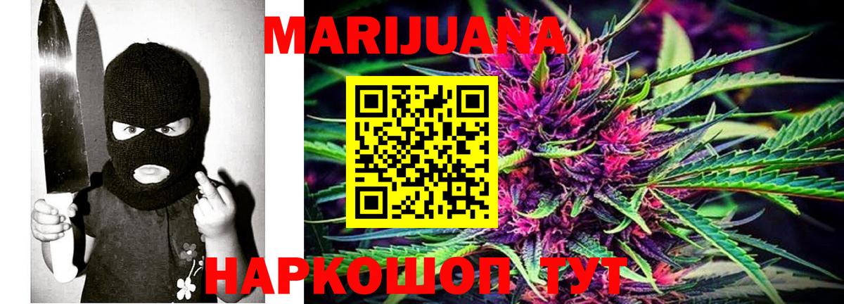 Канабис конопля Берёзовский